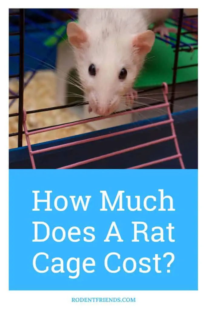 how much does a pet rat cage cost, pinterest image