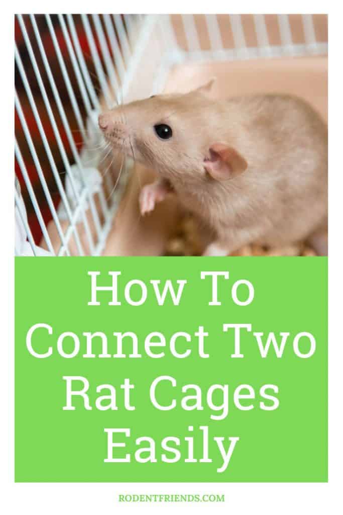 how to connect two rat cages easily, pinterest cover